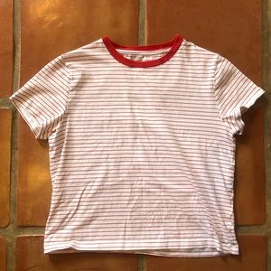 Everlane cropped crew neck T, Small